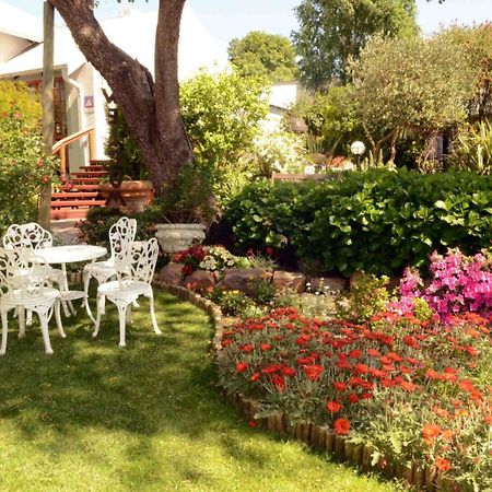 Van Dykshuis Guest House هايدلبرغ المظهر الخارجي الصورة